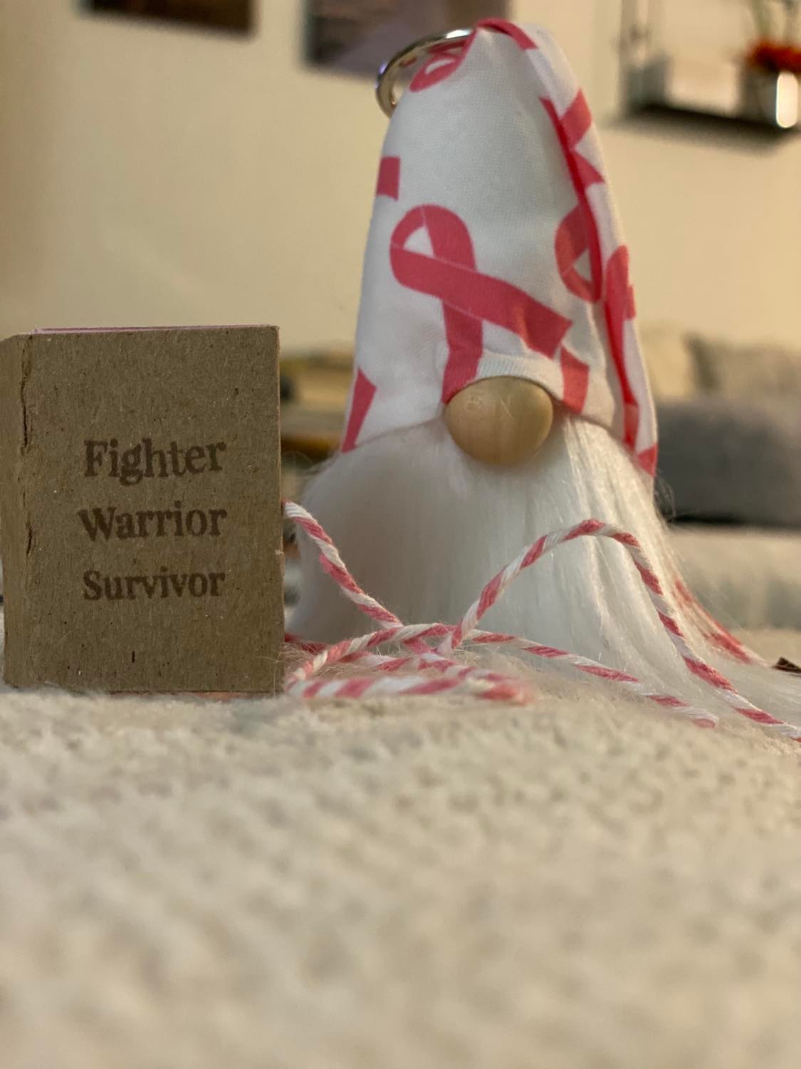 Mini Book and Gnome Set- Breast Cancer Collectible Decor- 4" Plush Pink Breast Cancer Ribbon and Mini Journal Book
