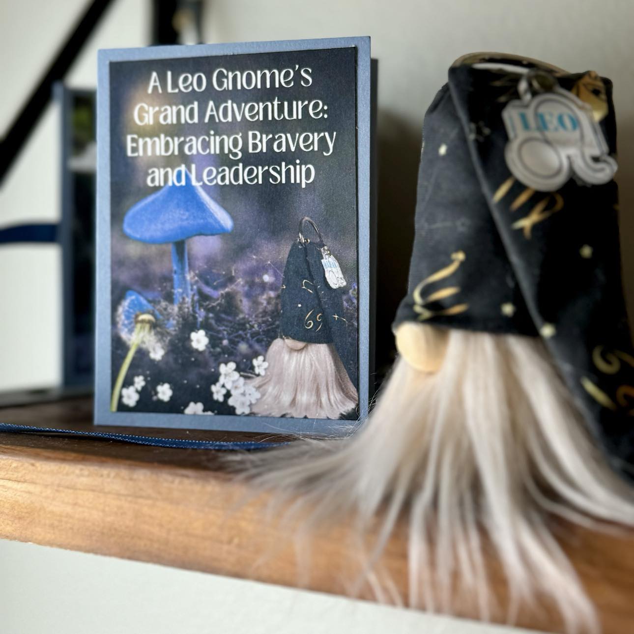 Printable Mini Story Book - The LEO Gnome and His Grand Adventure - Children's Story Book Project
